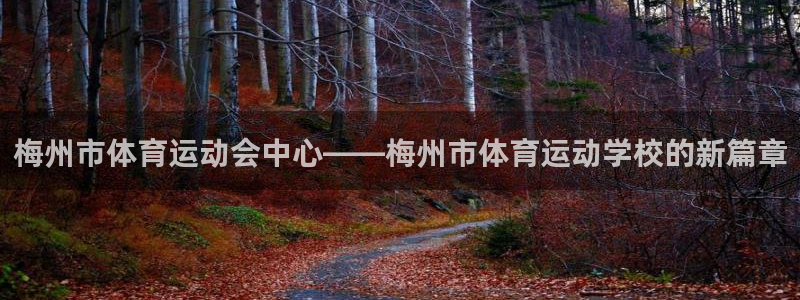 哈哈体育十年