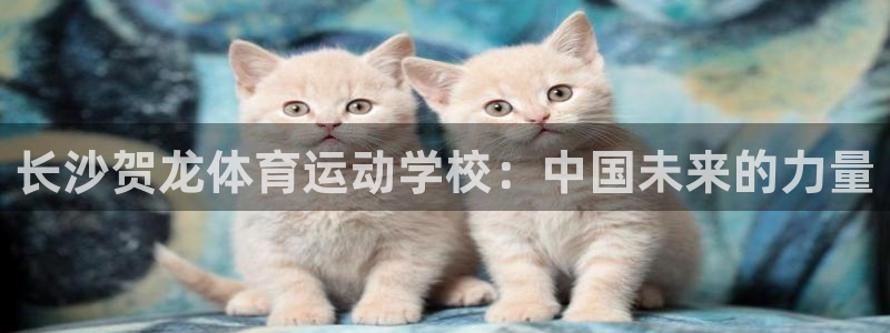 哈哈体育下载