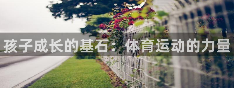 哈哈体育十年