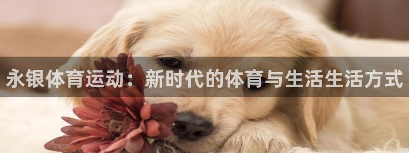 哈哈体育：永银体育运动：新时代的体育与生活生活方式