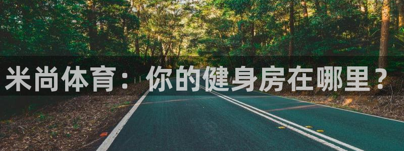 哈哈体育