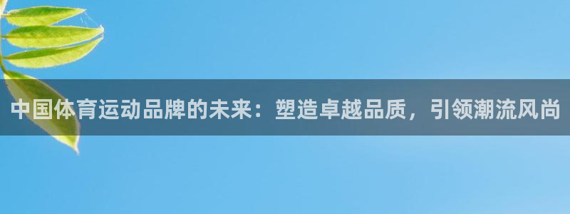哈哈体育十年：中国体育运动品牌的未来：塑造卓越品质，引领潮流风尚