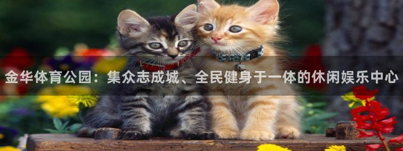 哈哈体育十年：金华体育公园：集众志成城、全民健身于一体的休闲娱乐中心