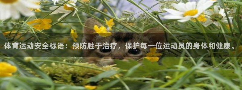 哈哈体育下载：体育运动安全标语：预防胜于治疗，保护每一位运动员的身体和健康。
