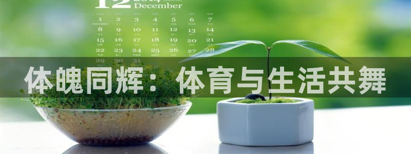 哈哈体育下载