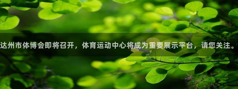 哈哈体育十年