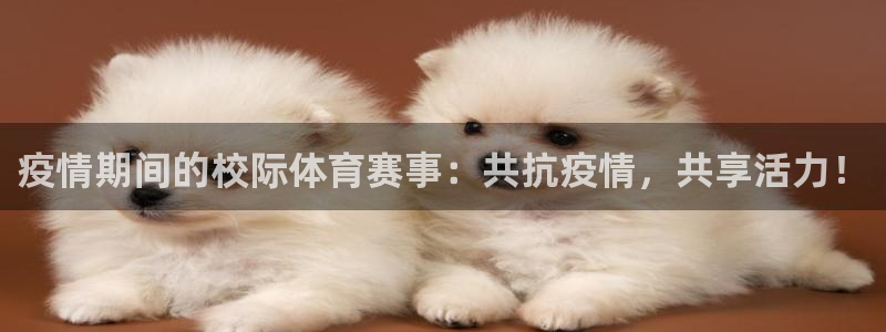 哈哈体育下载：疫情期间的校际体育赛事：共抗疫情，共享活力！