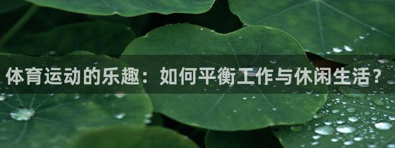 哈哈体育：体育运动的乐趣：如何平衡工作与休闲生活？